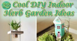 25 Cool DIY Indoor Herb Garden Ideas - Hati