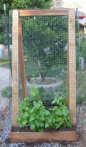 Discover Creative Vertical Gardening Ideas | Bonnie Plan