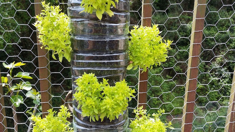 11 Creative Vertical Gardening Ideas For A Unique Backya