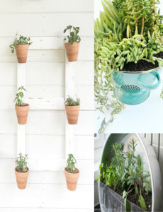 25 Creative Container Garden Ideas | Making Lemona