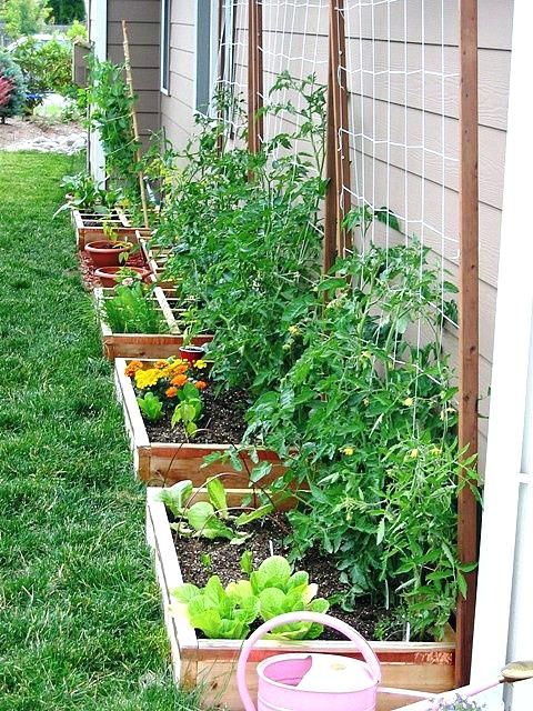 Creative Container Vegetable Gardening Ideas | Garden layout .