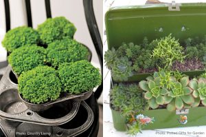 Creative Container Gardening - At Home with Kim Vall