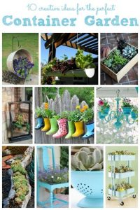 Creative Container Garden Ideas | Container gardening, Garden .