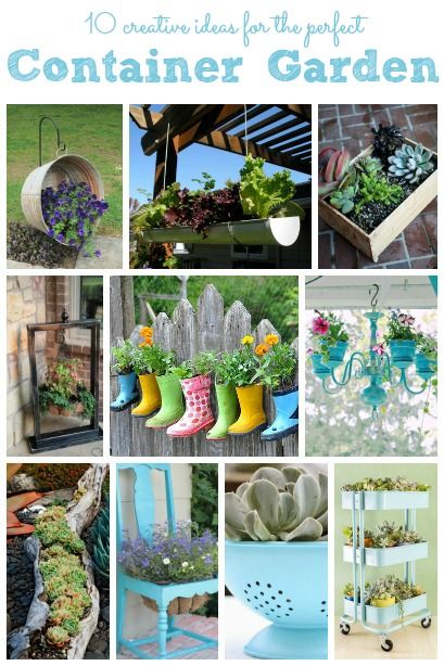 Creative Container Garden Ideas | Container gardening, Garden .