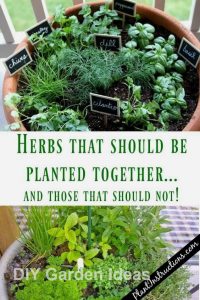 35+ Creative Garden Hacks and Tips 2 | Home vegetable garden .