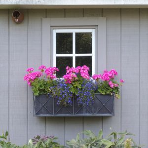 20 Window Box Ideas - Creative Window Box