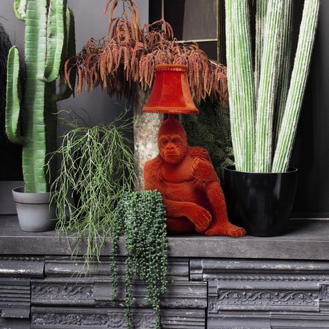 Abigail Ahern/EDITION 'Orange Gorilla Table Lamp | Debenhams .