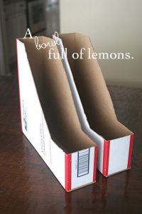 Make your own magazine holders from Used USPS flat rate shipping .