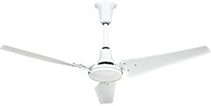 Heavy-Duty Indoor/Outdoor Ceiling Fan - 60 - - Amazon.c