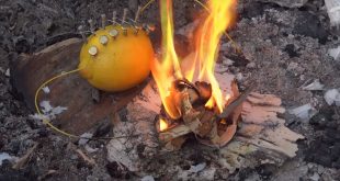 How To Start A Fire With A Lemon | Bored Pan