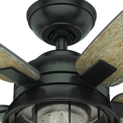 Hunter® Fan Coral Bay 52" Noble Bronze LED Indoor/Outdoor Ceiling .