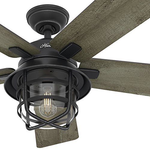 Hunter Fan 54" Weathered Zinc Outdoor Ceiling Fan with a Clear .