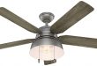 Hunter Indoor / Outdoor Ceiling Fan with light and pull chain .