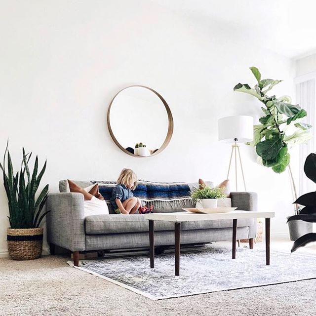 White living room wall, gray couch, area rug, potted plants .