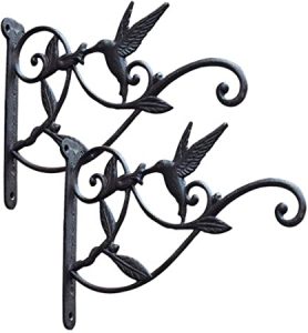 Amazon.com : Cast Iron Plant Hooks Vintage Wall Hanging Brackets .