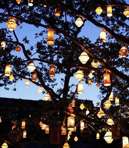 Lanterns in an oak tree in backyard. love! | Tree lanterns, Tavern .