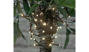 Buy Argos Home 100 Warm White LED Solar String Lights | Fairy .