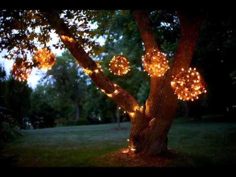 decorative outdoor lights for trees - YouTu