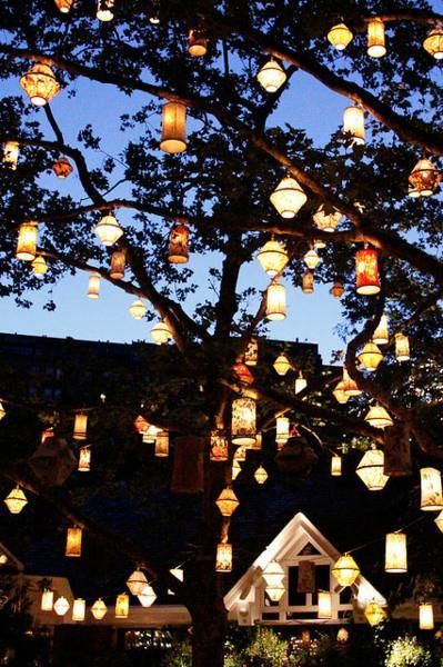 Lanterns Light It Up | Tree lanterns, Tavern on the green, Lantern .