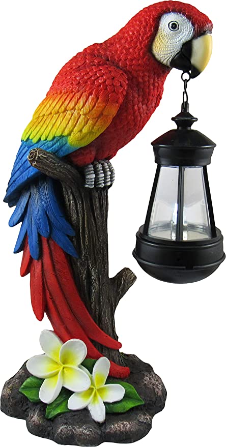 Amazon.com : DWK 13.9" Tropical Glow Beautiful Parrot Colorful .