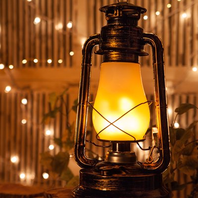 Wintergreen Lighting Digital Flame Plug-in Outdoor Lantern | Led .