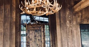 Antler Chandelier