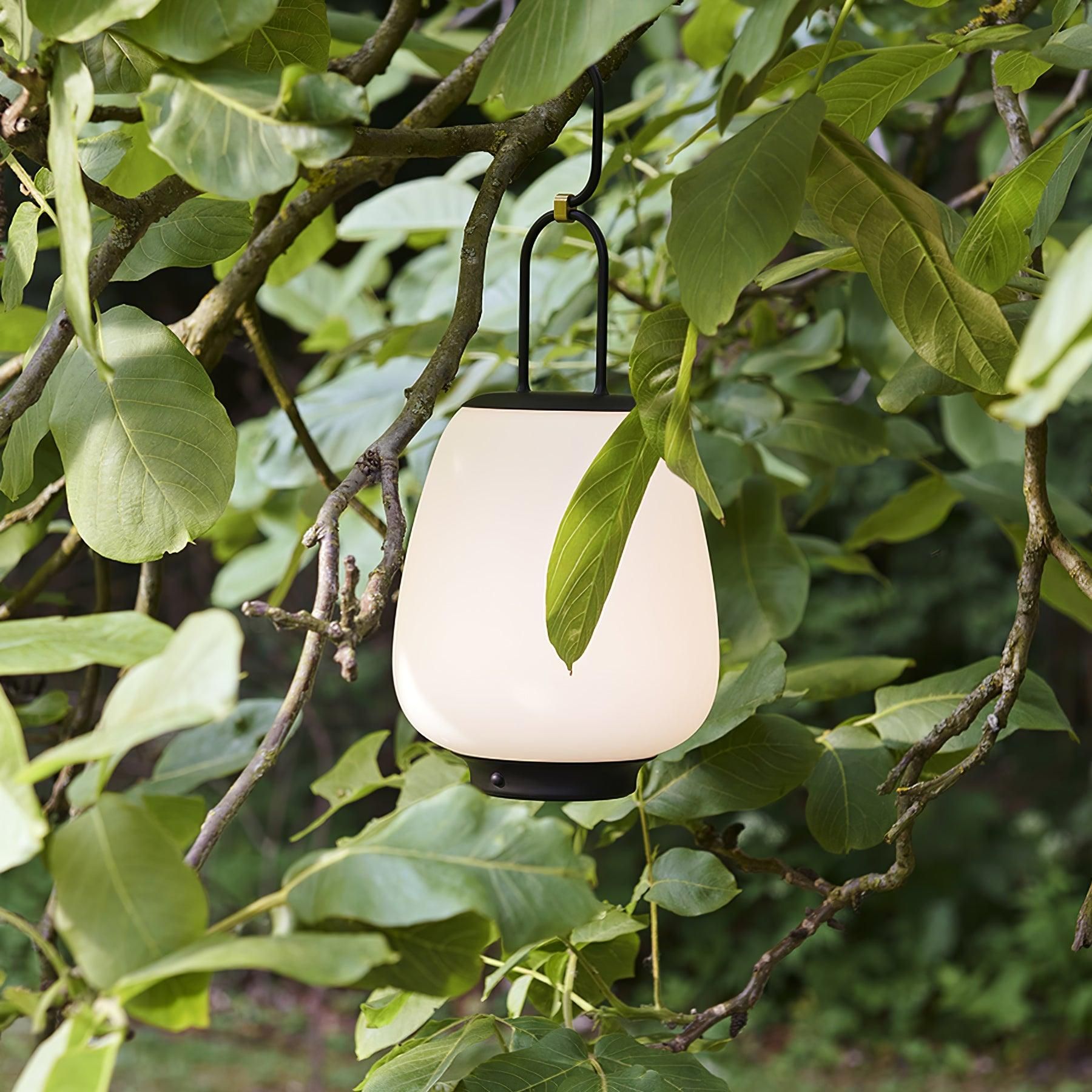 Elegant Outdoor Lanterns Illuminate Your Outdoor Space