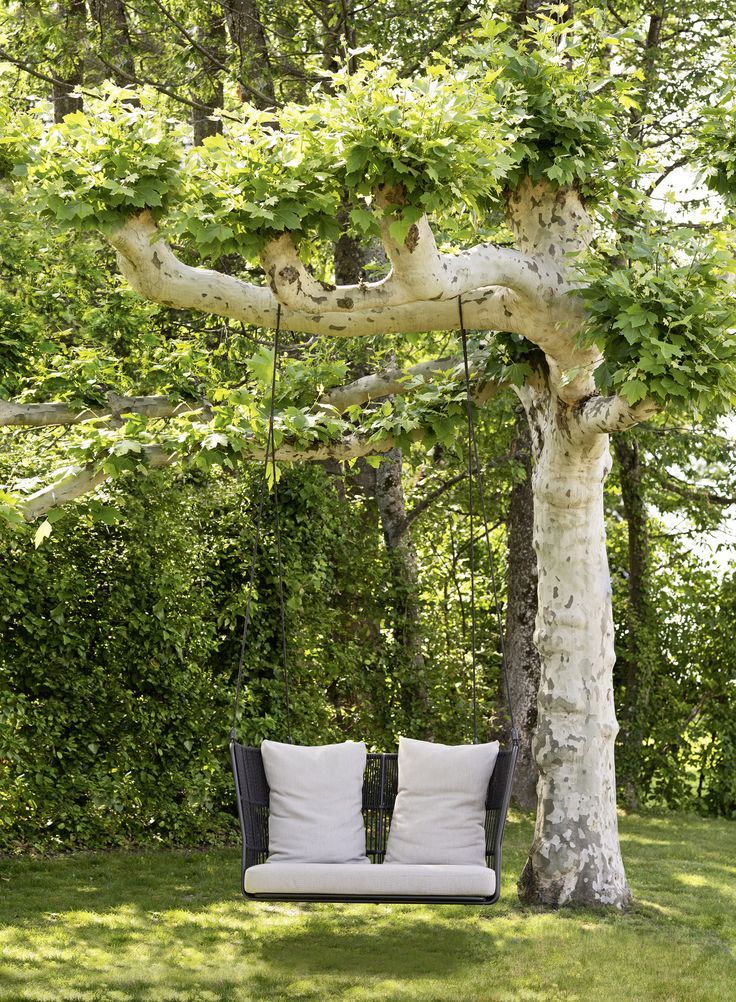 Nest Swings With Ropes The Perfect Addition To Your Backyard