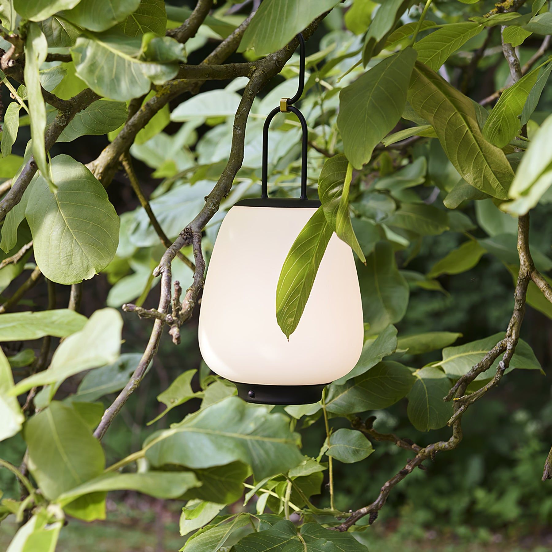 Outdoor Lanterns Lights Illuminate the Night Sky