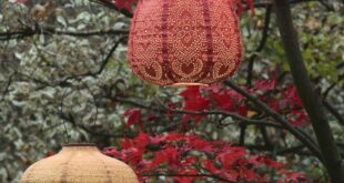 Outdoor Orange Lanterns