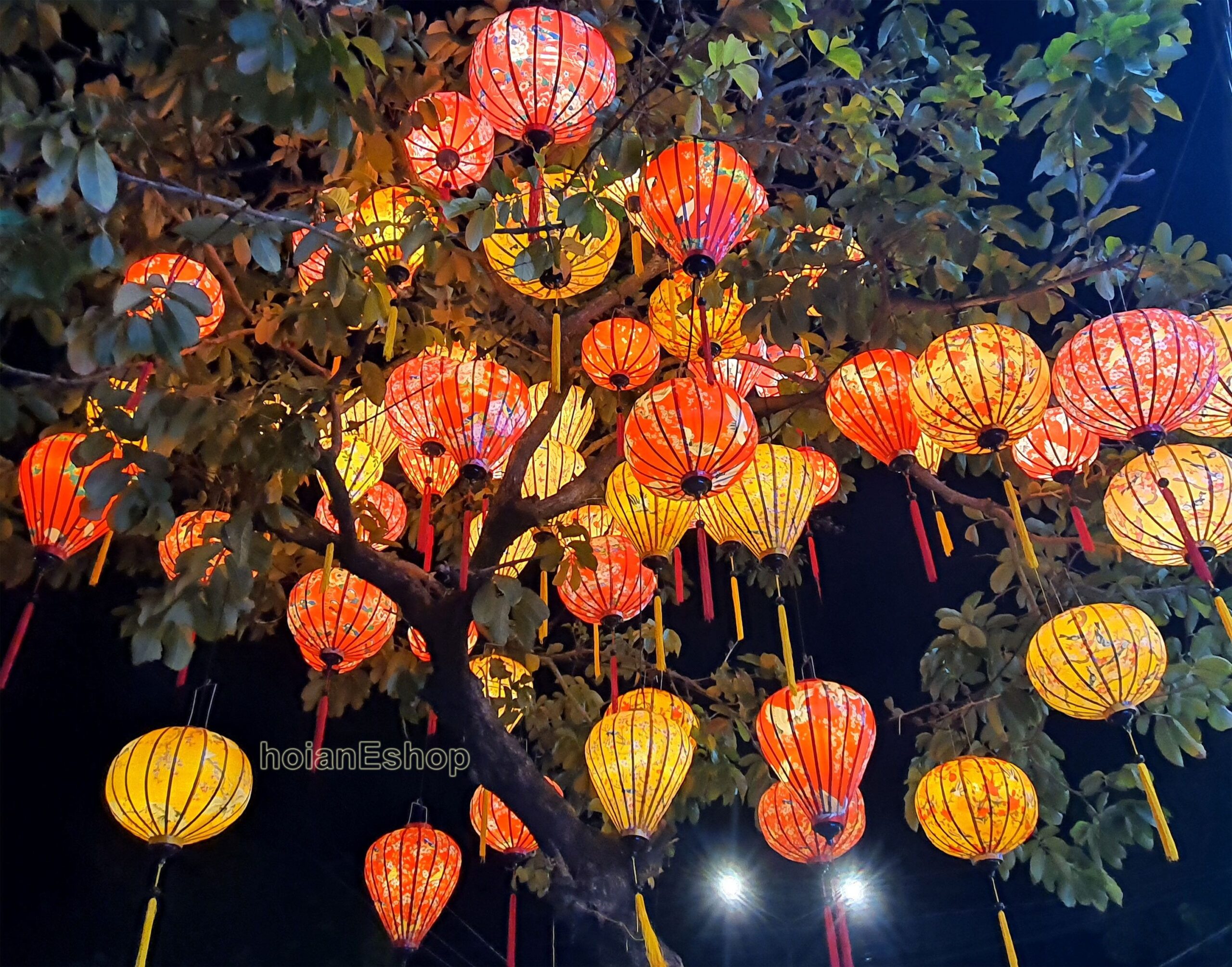 Outdoor Vietnamese Lanterns Lighting Up the Night